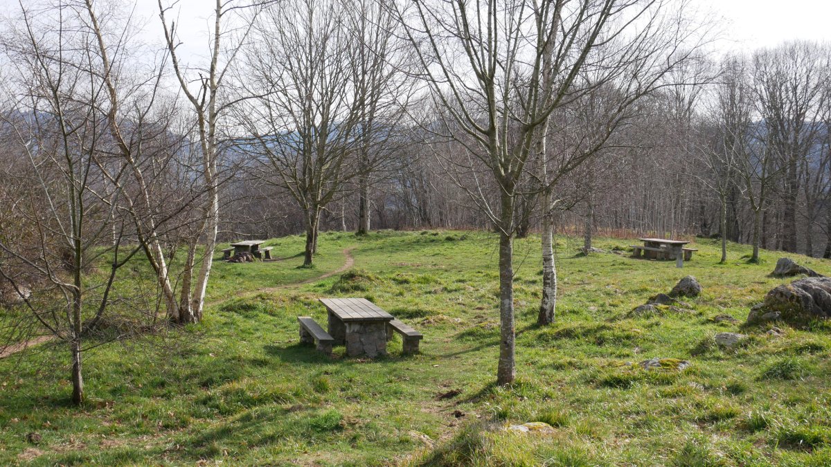 Berrozpingo aisigunea