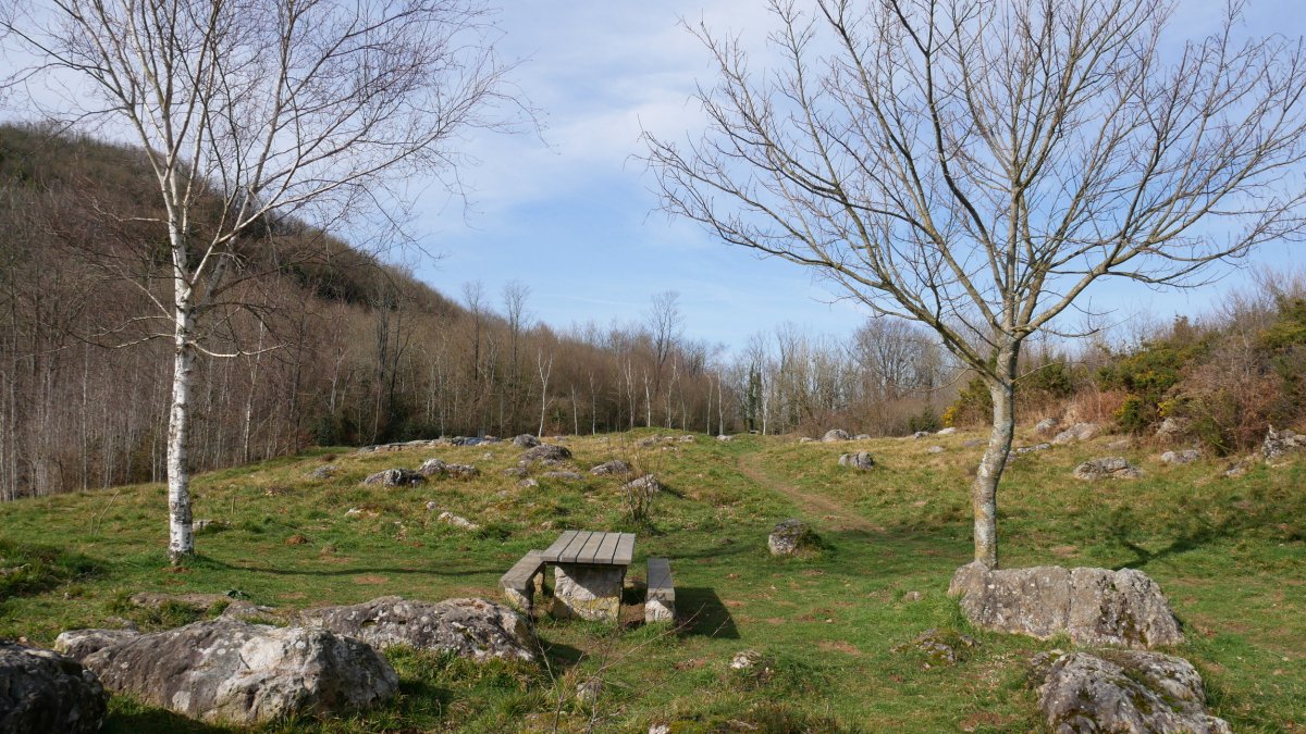 Berrozpingo aisigunea