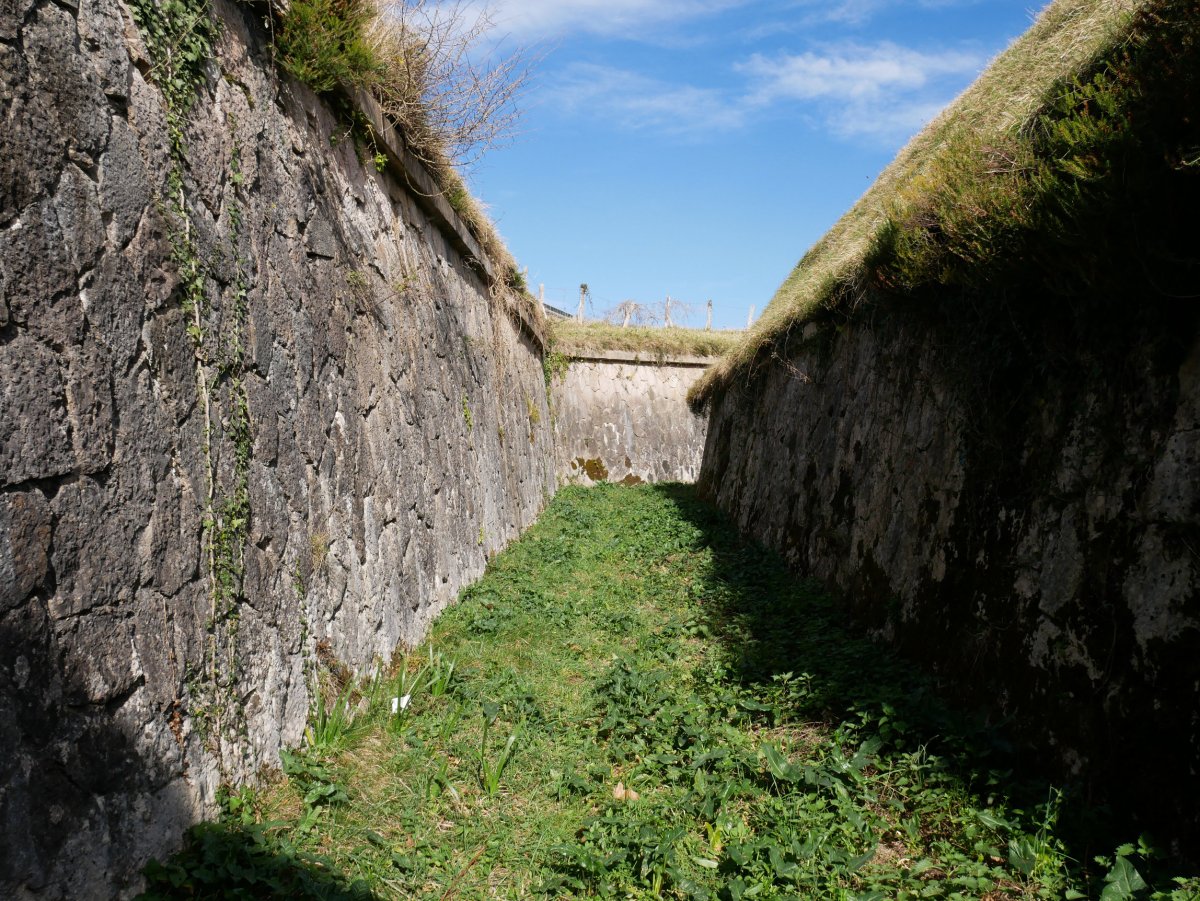 Txoritokieta gotorlekua