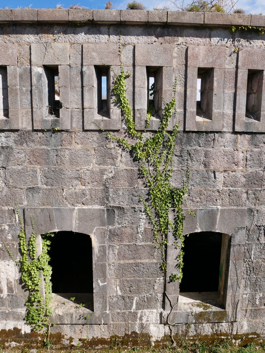 Txoritokieta gotorlekua