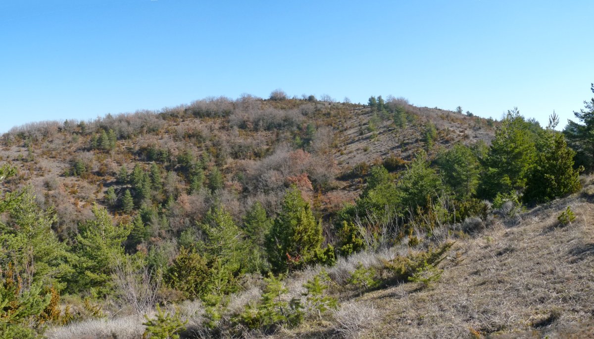 Urdani, mendebaldeko isurialdea