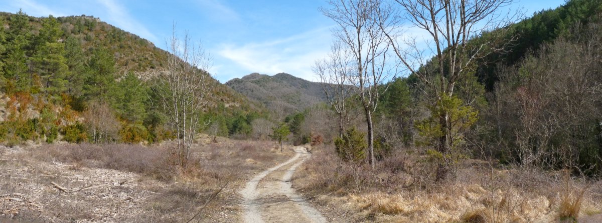 Bidea, Benasako sakanean gora