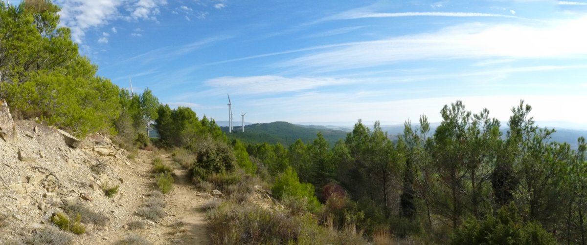 Bidea, gailurretik hurbil