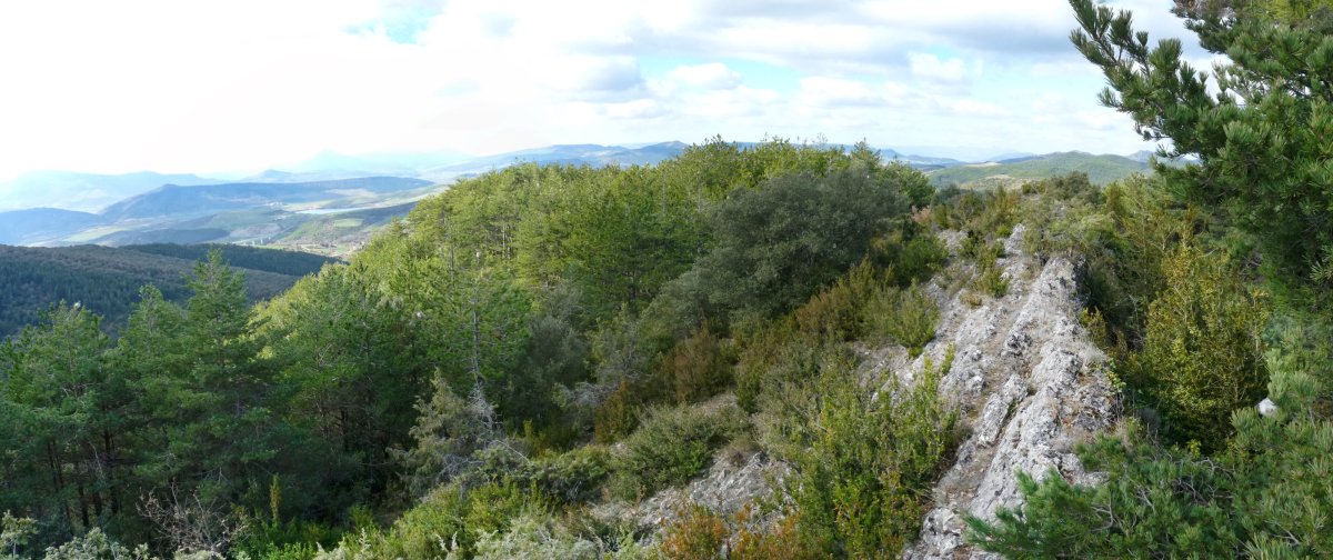 Tako geosesikoa Ollarango gandorrean