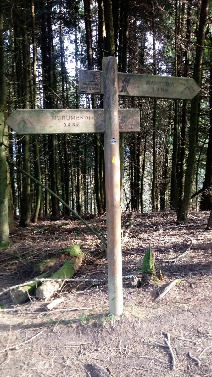 Murumendi seinalea