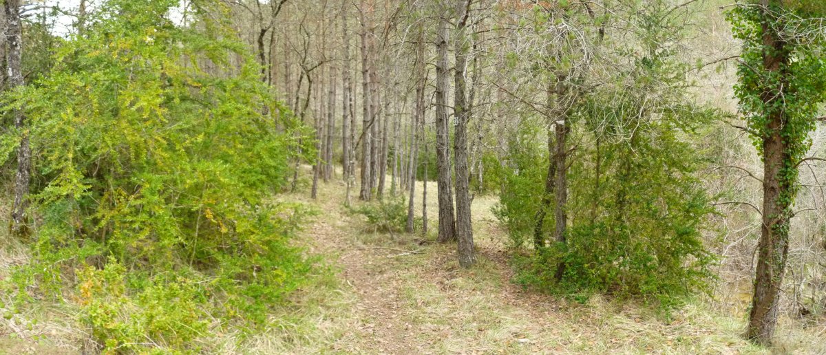 Bidexka Sastoiako sakanean