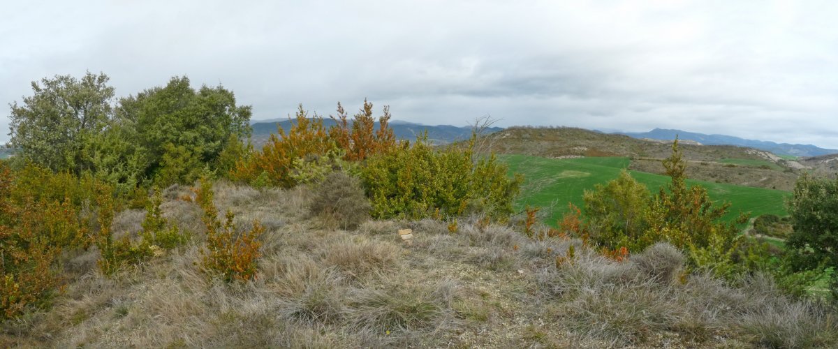 Mondela gaineko gailurra