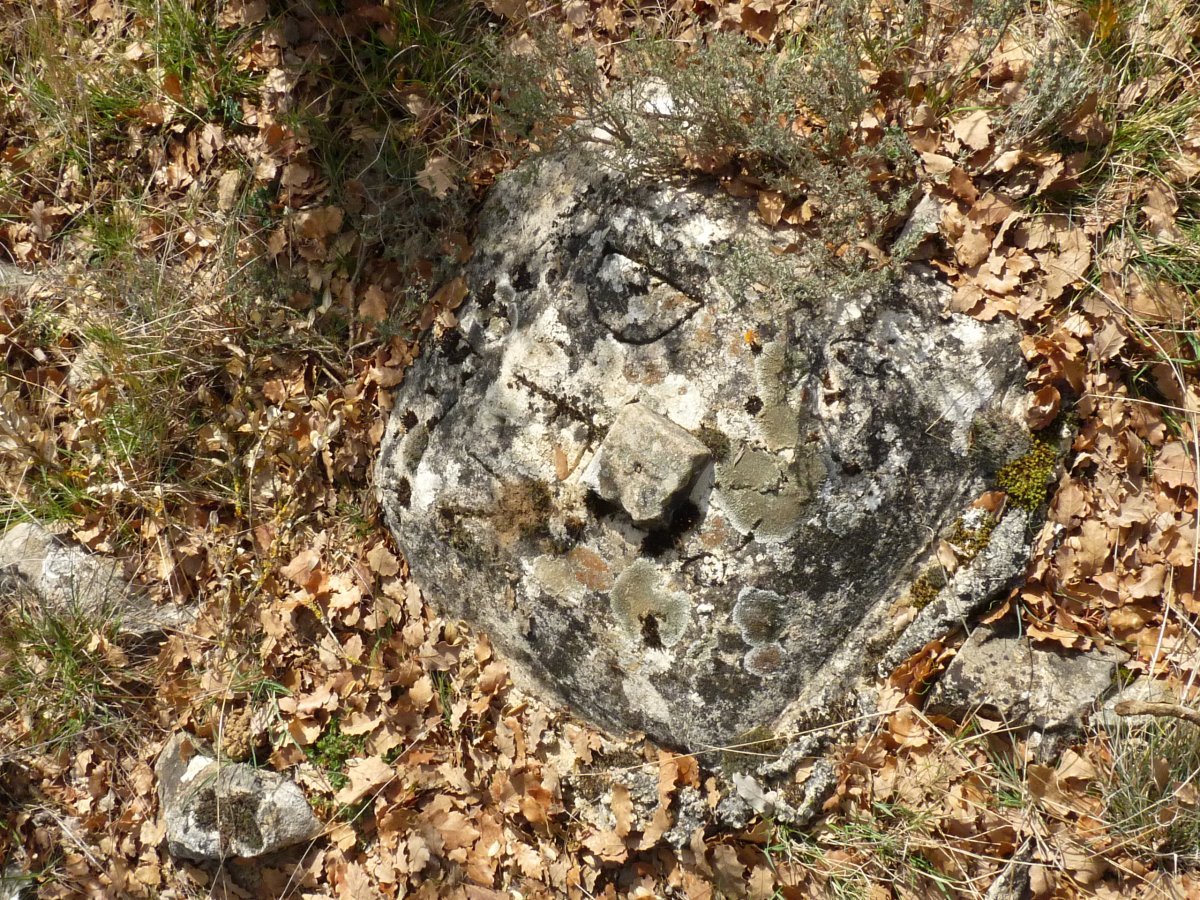 Tako geosesikoa gailurrean