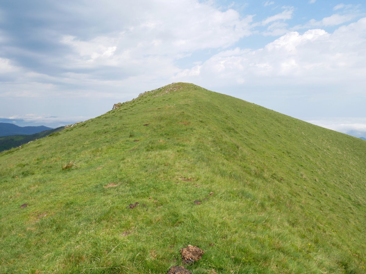 Mandoegiko HEko bizkarra