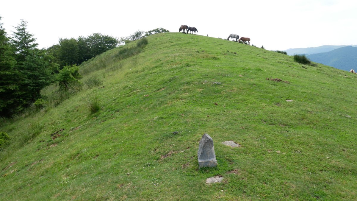 Urepel tontorra IMko bizkarretik