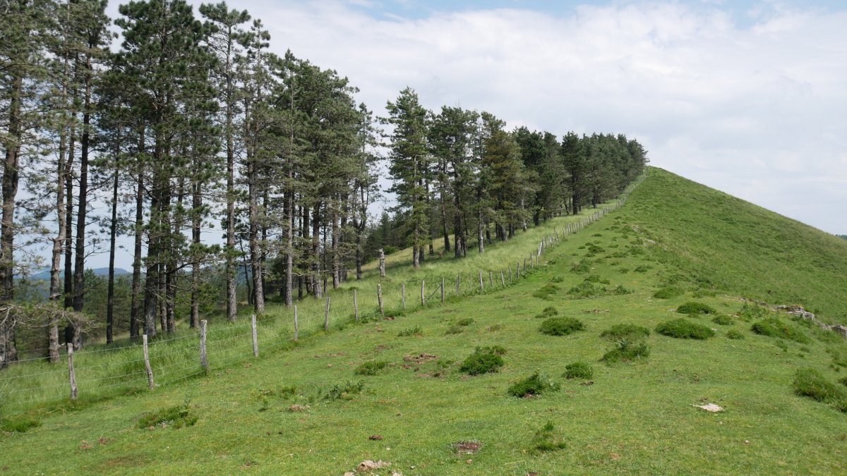 Altzegi HMko bizkarretik