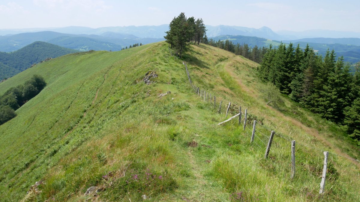 Altzegi HMko bizkarreko pasarte bat
