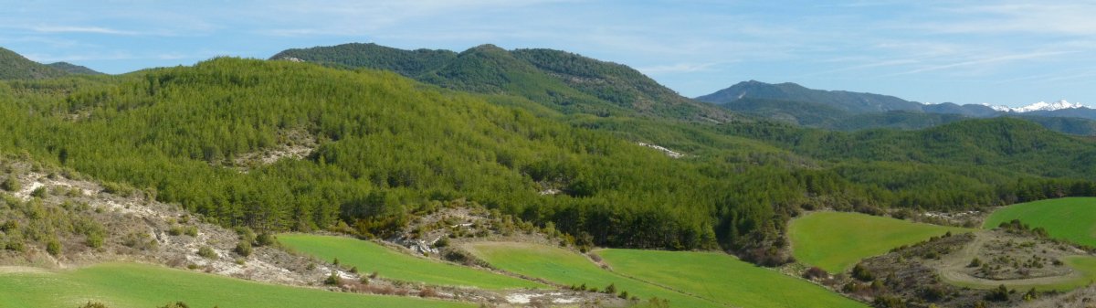 Txurriko eta Boyeral gainak, Txukarteko bidetik