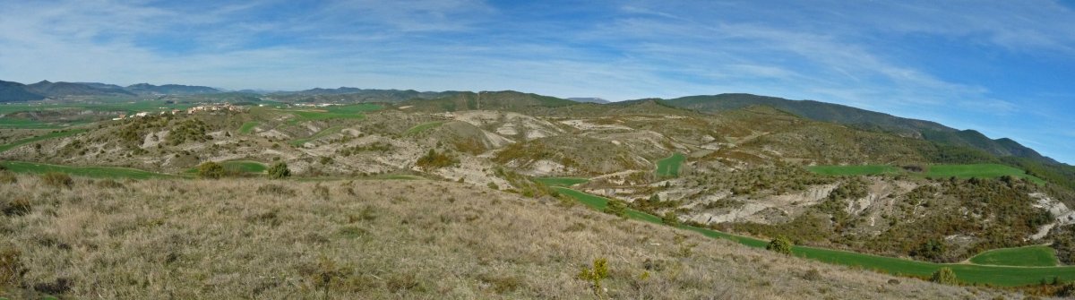 Meotz eta Longidako bazterrak Ibargundik