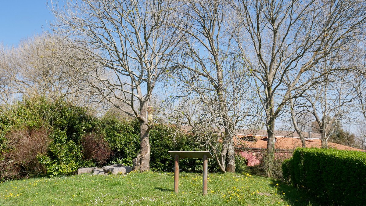 Santiomendi tontorra-edo.