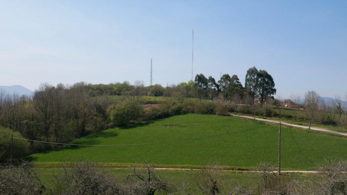 Agiñeta gaina, bere antenekin