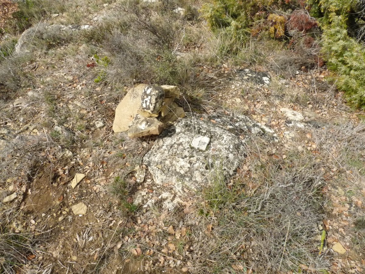 Tako geosesikoa gailurrean