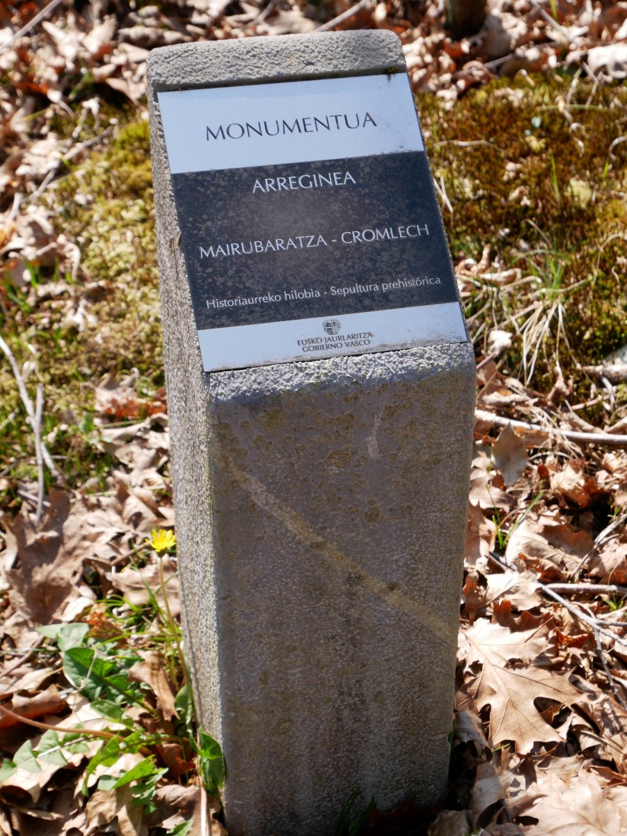 Arreginea harrespila, seinalea