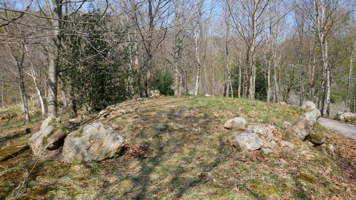 Arreginea harrespila