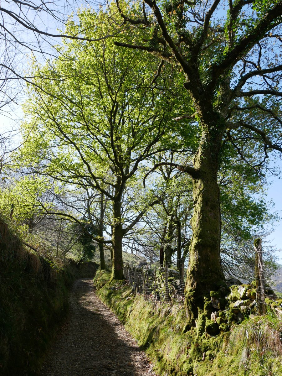 Ezkorrin aldeko bidea