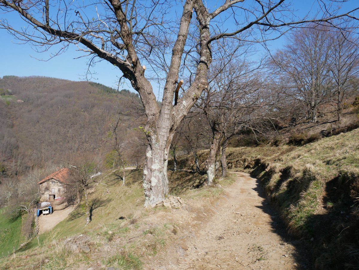 Ezkorrin aldeko bidea