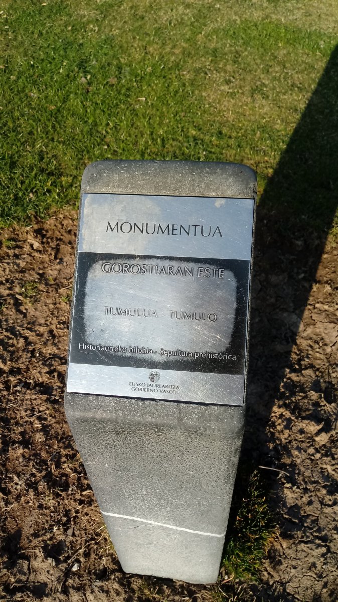 Gorostiaran E. tumuloa (2019)