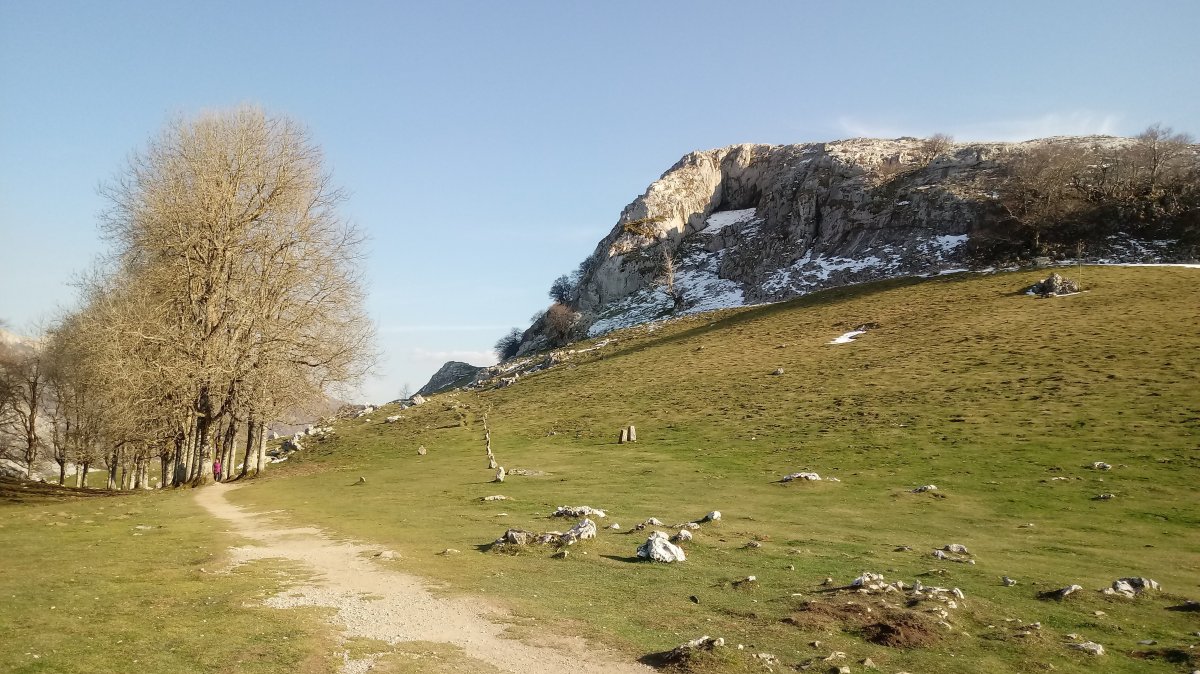 Elorrolako Lepoa eta Haitza