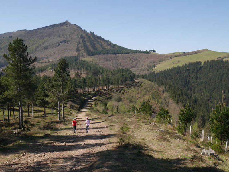 Kolitza Guineako mendebaldeko bizkarretik ikusita