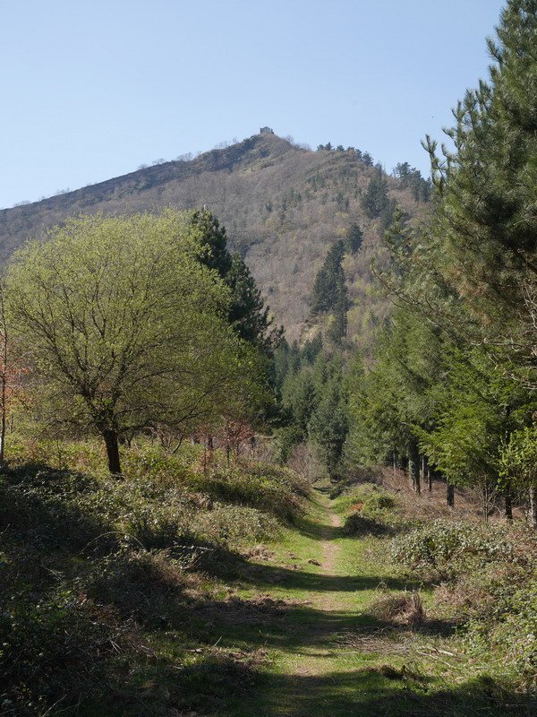 Campo del Espinotik igotzen den bidea