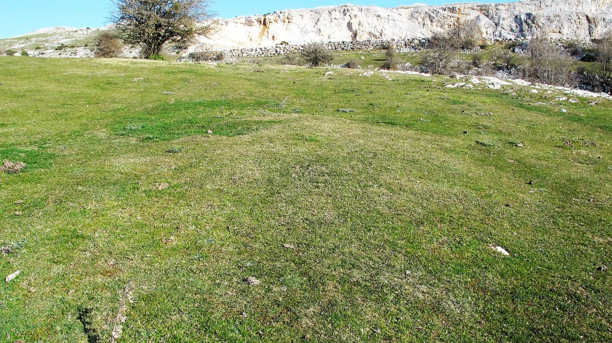 Ollideko Bizkarra 1 etxola hondoa, Urbasa