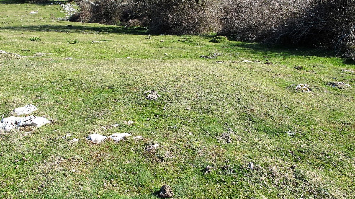 Ollideko Bizkarra 2 etxola hondoa, Urbasa