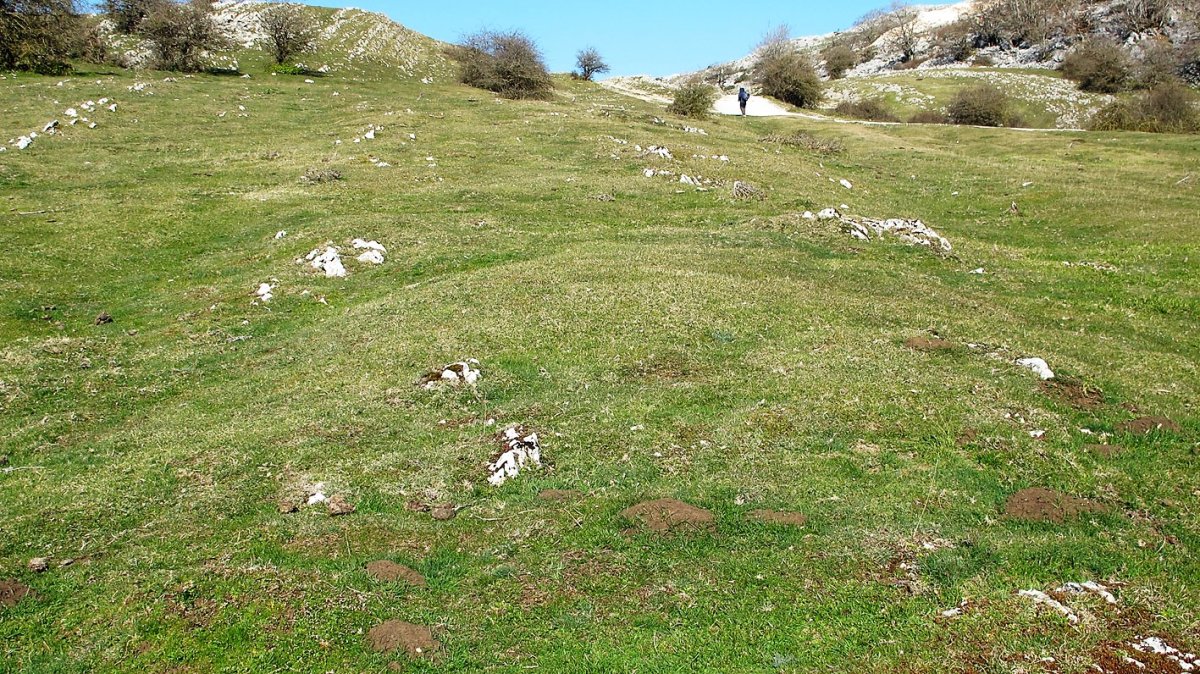 Ollideko Bizkarra 2 etxola hondoa, Urbasa