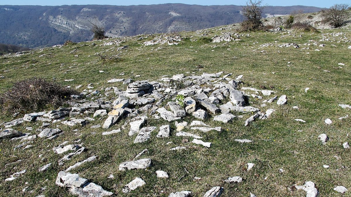 Ollideko Bizkarra tumulua, Urbasa