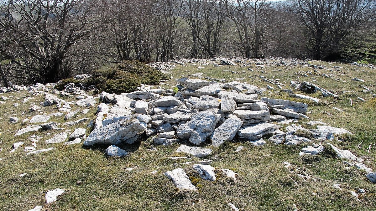 Gaztansao 2 tumulua, Urbasa