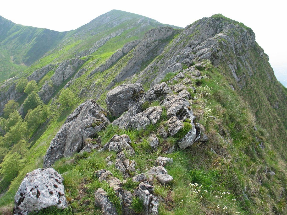 Artubi eta Balerdi arteko gandorreko pasartea