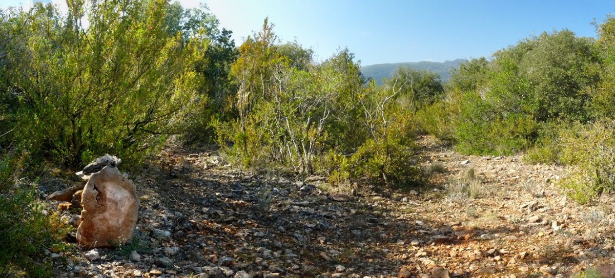 Alto del Cierzoko gailurra