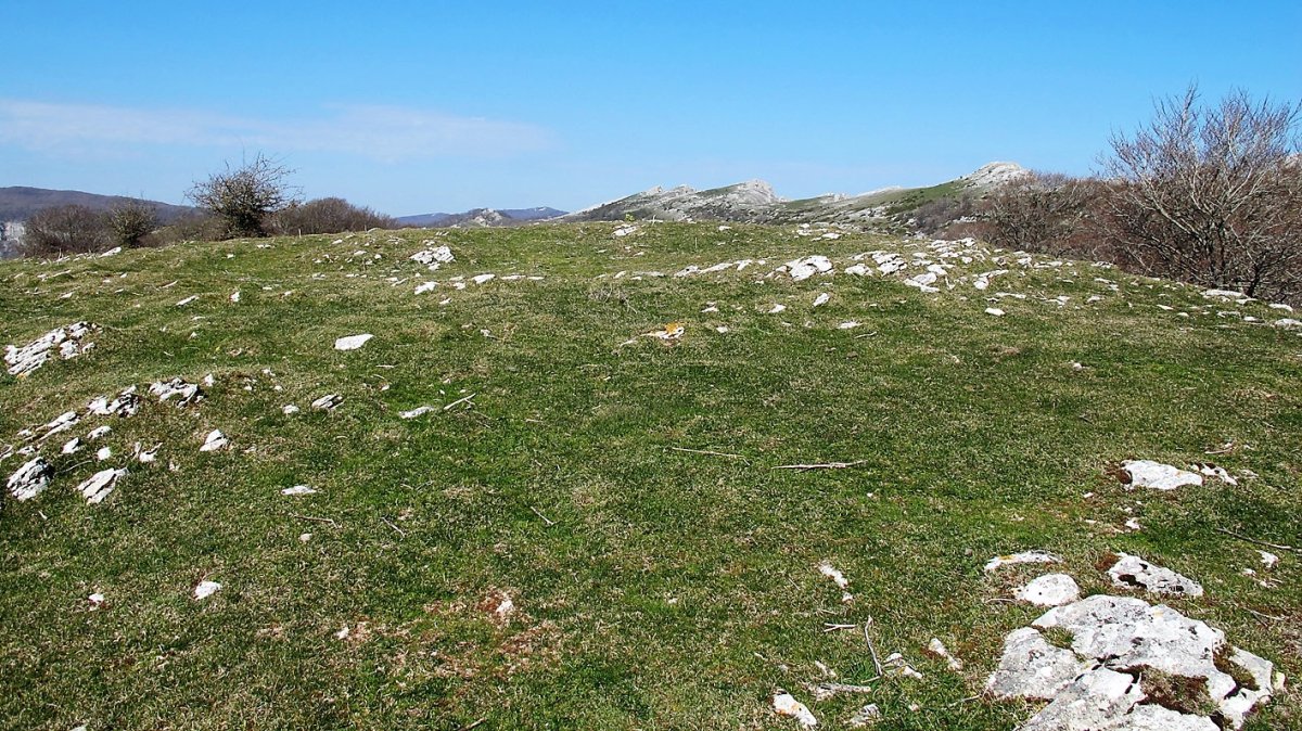 Ollideko Bizkarra eraztun tumulua, Urbasa