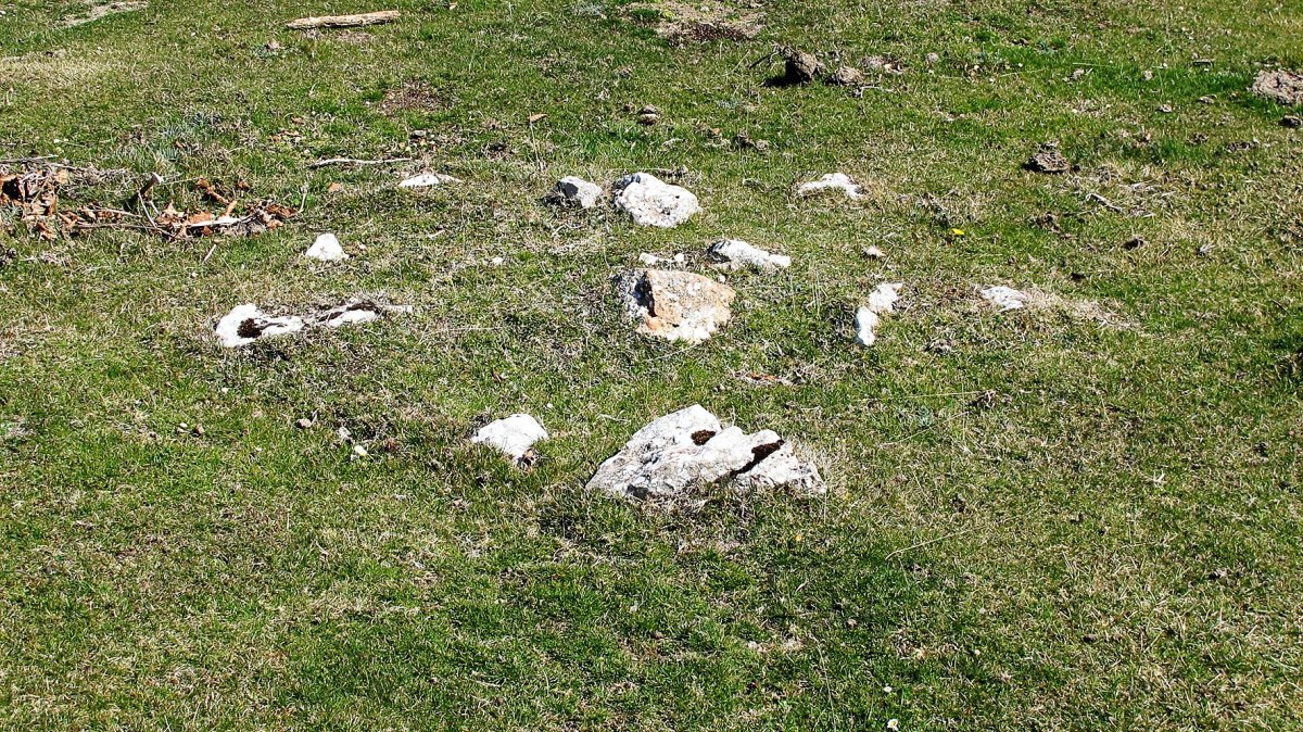 Ollideko Bidea tumulua, Urbasa