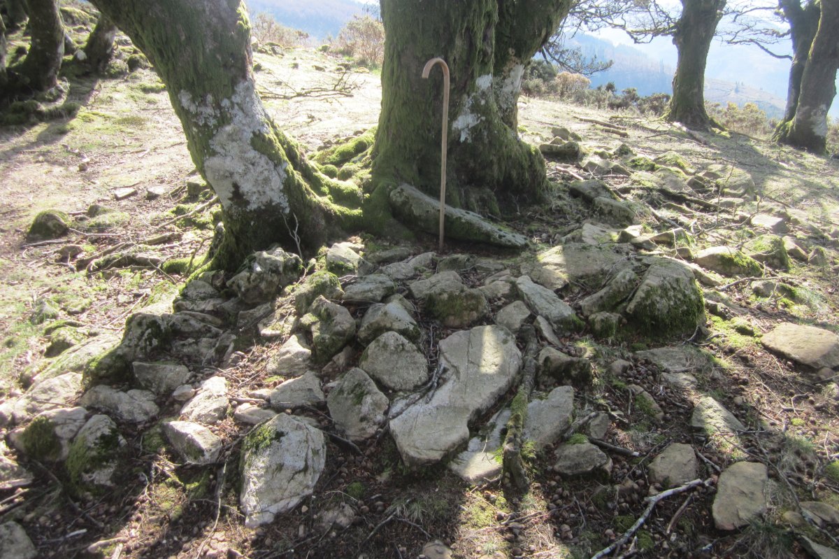 Cista Atxolin Txiki II Oeste (Marzo 2019)