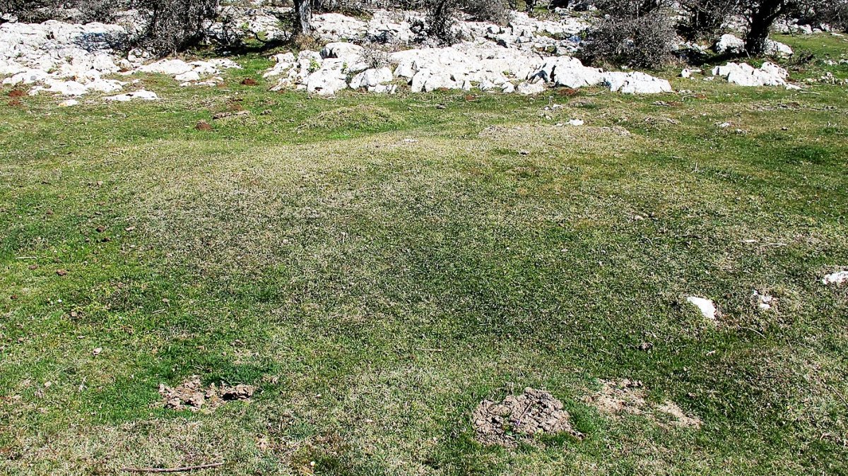 Ollide 3 este etxola hondoa, Urbasa