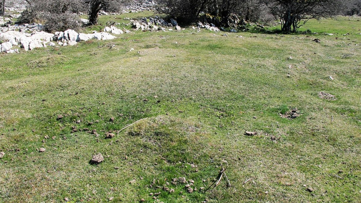 Ollide 3 este etxola hondoa, Urbasa