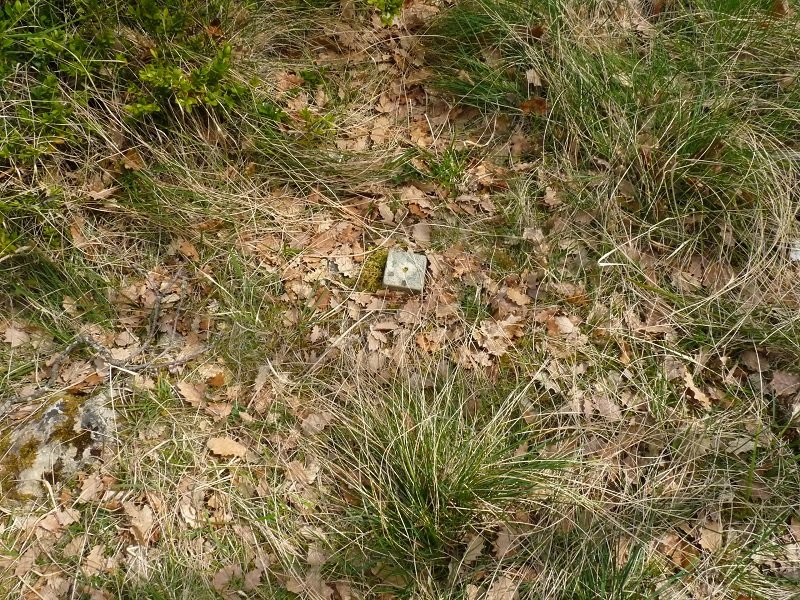 Tako geodesikoa gailurrean