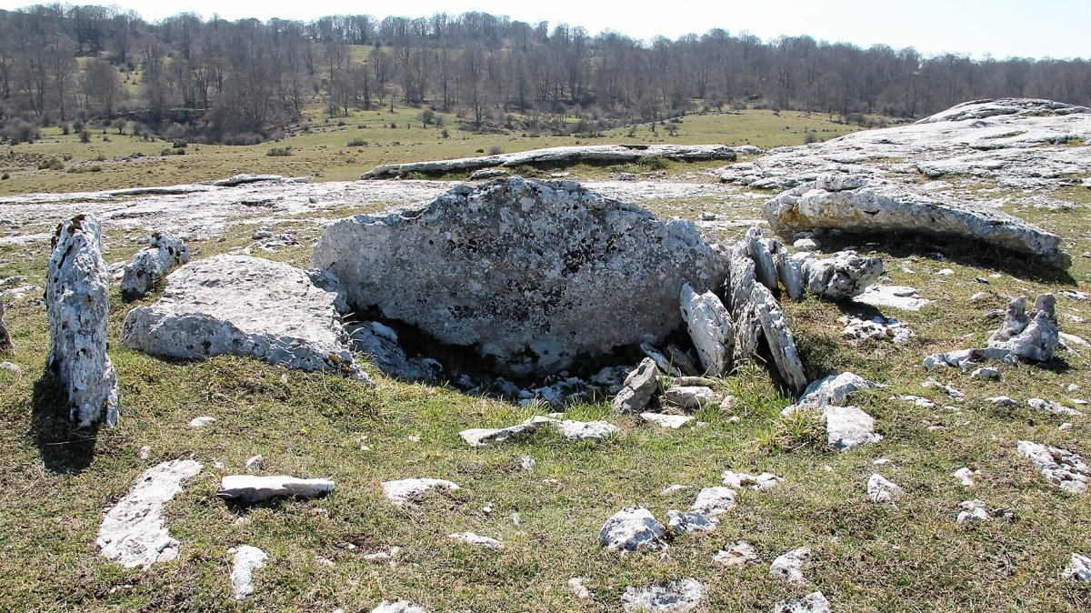 Etxarriko Portugañe 1 mendebal trikuharria, Urbasa