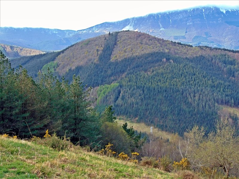 Aizleor / Unamenditik