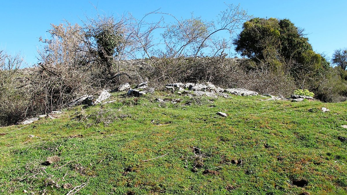 Osagarate 1 sur txabola tumularra, Urbasa