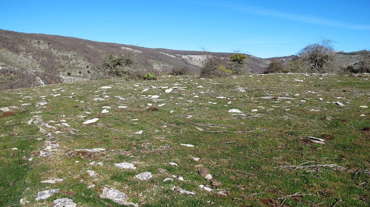 Osagarate eraztun tumulua, Urbasa