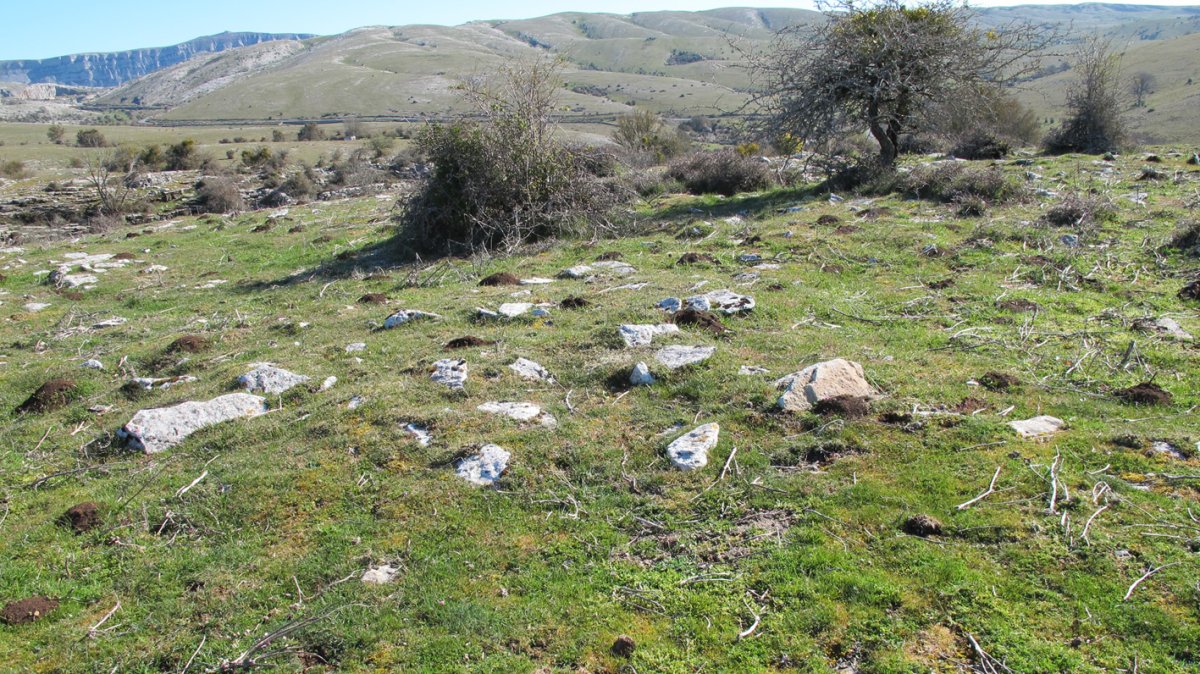 Otsagarate 14 tumulua, Urbasa