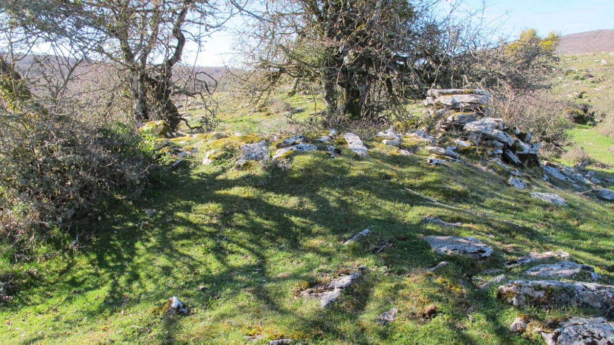 Osagarate 2 norte txabola tumularra, Urbasa