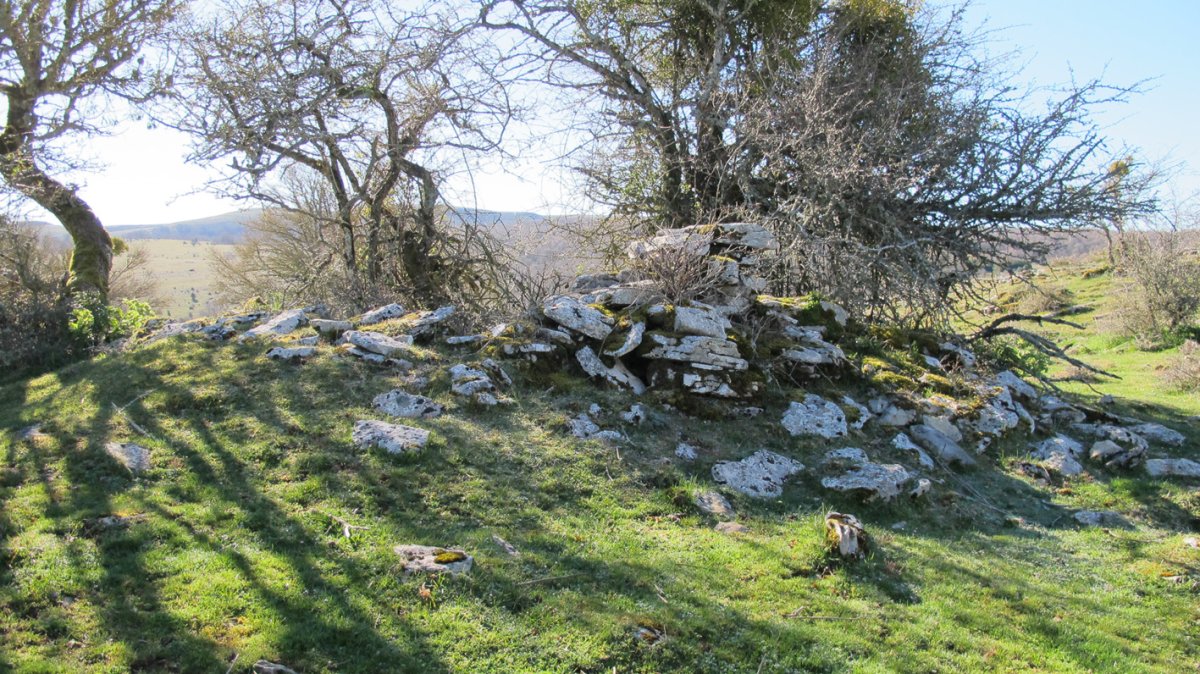 Osagarate 2 norte txabola tumularra, Urbasa