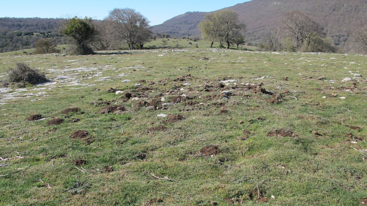 Otsagarate 13 tumulua, Urbasa